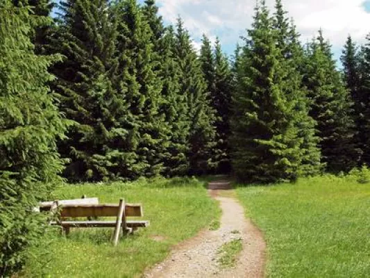 Bild: Mit steigendem Pflegebedarf steigt auch die Zahl der Pflegekräfte aus Polen