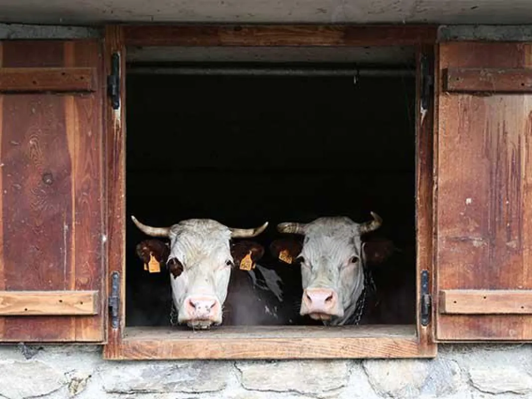 Alpenantrieb im Aostatal