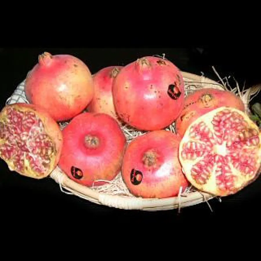 Granatäpfel enthalten viel Ellagsäure