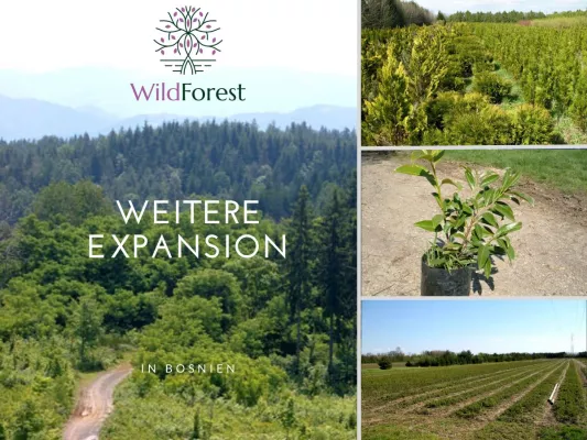 Bild: Die WFP-Wild Forest setzt Expansionskurs fort 