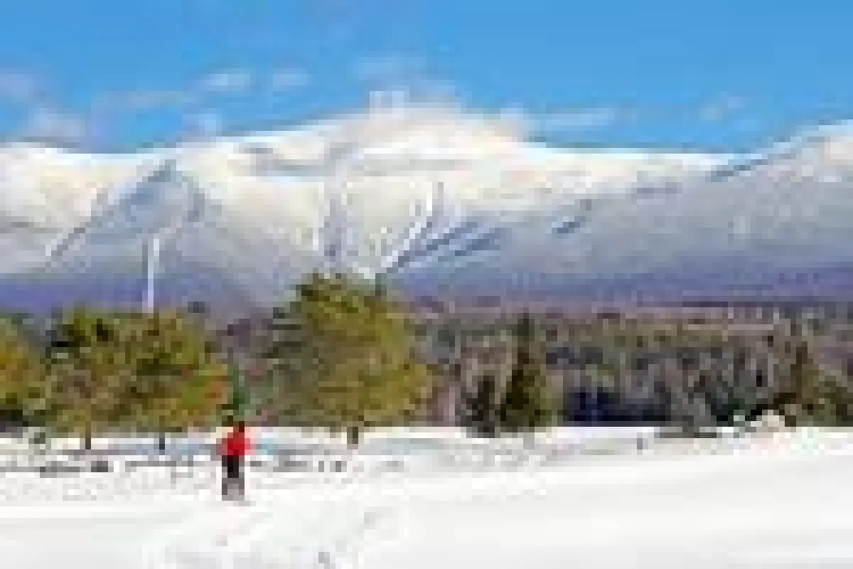 Bretton Woods Ski Area (c) Omni Mount Washington Resort
