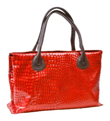 Bild: Fashion Momentum bietet die exklusive Taschenmarde Daniella Lehavi aus Israel im Online Shop an.
