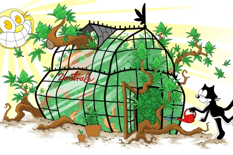 Bild: Erstes Tauschportal Deutschlands für Cannabis-Genetiken gestartet: hanfzentrale.com