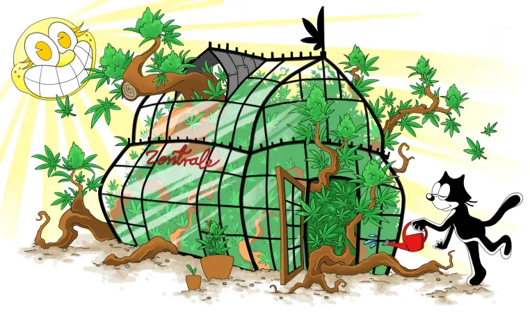 Erstes Tauschportal Deutschlands für Cannabis-Genetiken gestartet: hanfzentrale.com Bild: Erstes Tauschportal Deutschlands für Cannabis-Genetiken gestartet: hanfzentrale.com