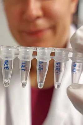 Vernetzung von Biobanken zur Erhaltung der biolog. Vielfalt: GGBN Datenpool wächst auf 4,5 Mio. DNA- und Gewebeproben Bild: Vernetzung von Biobanken zur Erhaltung der biolog. Vielfalt: GGBN Datenpool wächst auf 4,5 Mio. DNA- und Gewebeproben