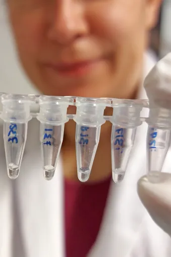 Vernetzung von Biobanken zur Erhaltung der biolog. Vielfalt: GGBN Datenpool wächst auf 4,5 Mio. DNA- und Gewebeproben Bild: Vernetzung von Biobanken zur Erhaltung der biolog. Vielfalt: GGBN Datenpool wächst auf 4,5 Mio. DNA- und Gewebeproben