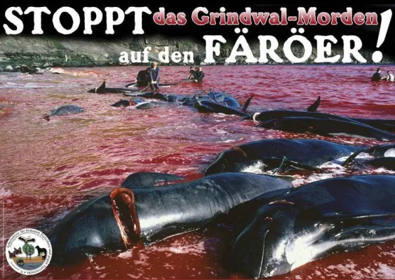 Bild: Wal- und Delfinschutzaktivisten planen gemeinsame Aktionen/ Ex-Greenpeace-Mitbegründer Paul Watson im WDSF