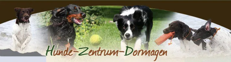 Wohnmobilvermietung an Hundebesitzer Bild: Wohnmobilvermietung an Hundebesitzer