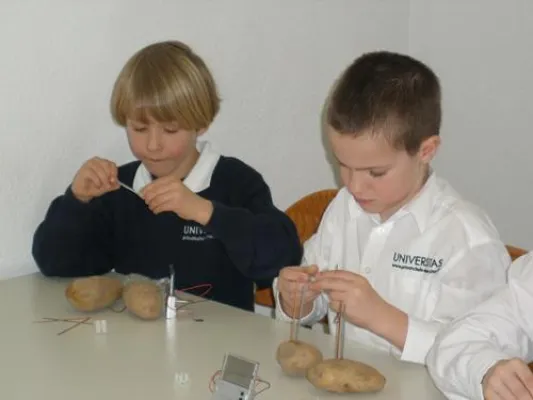Bild: Workshop von GRS Batterien - Wie kommt der Strom in die Kartoffel? WIe recycelt man Batterien?