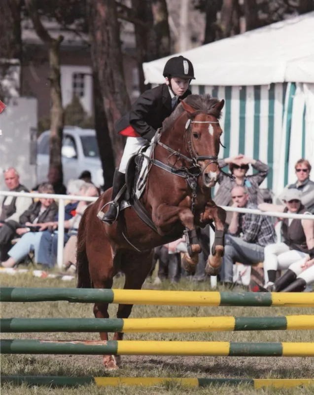 Reiter der Reitanlage Buch
