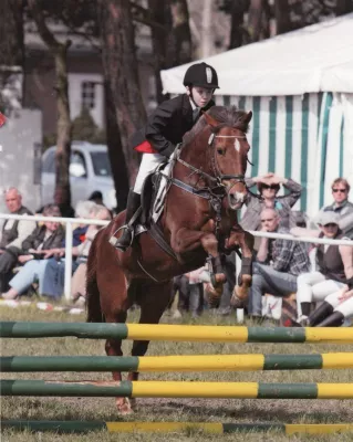 Traditionelles Pfingstreiten in Buch Bild: Traditionelles Pfingstreiten in Buch