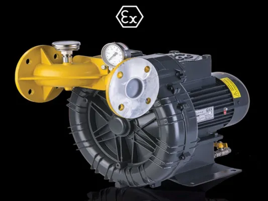 Seitenkanalverdichter permanent warten besonders als ATEX bedeutet Laufzeitverlängerung der Maschinen Bild: Seitenkanalverdichter permanent warten besonders als ATEX bedeutet Laufzeitverlängerung der Maschinen