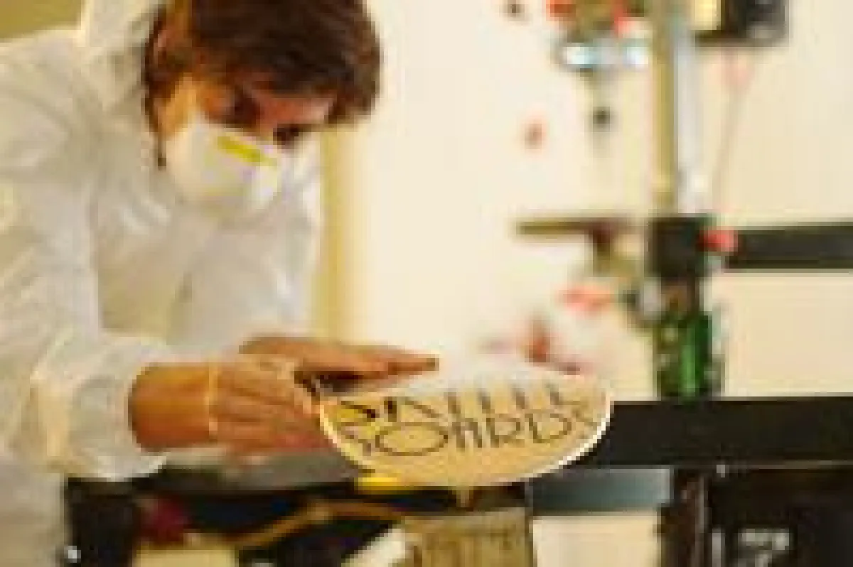 Foto: © Peter Karacsonyi