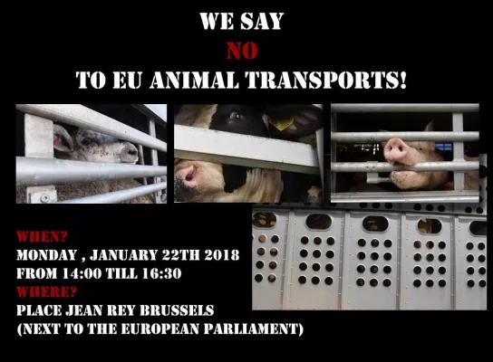 Bild: Protestkundgebung vor dem EU-Parlament in Brüssel