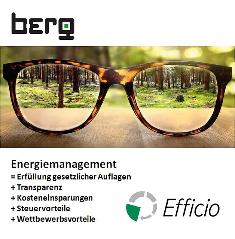 Smartes Energiemanagement mit EFFICIO