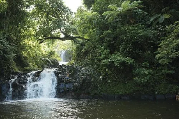 Bild: Prächtige Regenwälder und ursprüngliche Dörfer: Fiji wie ein Insider erleben
