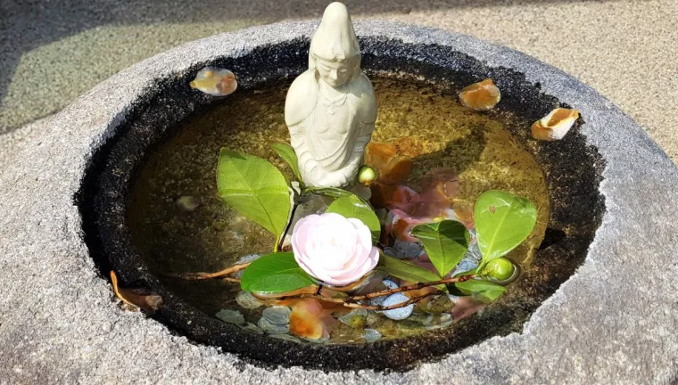 Bild: Die Bedeutung von Achtsamkeit in einem hektischen Alltag