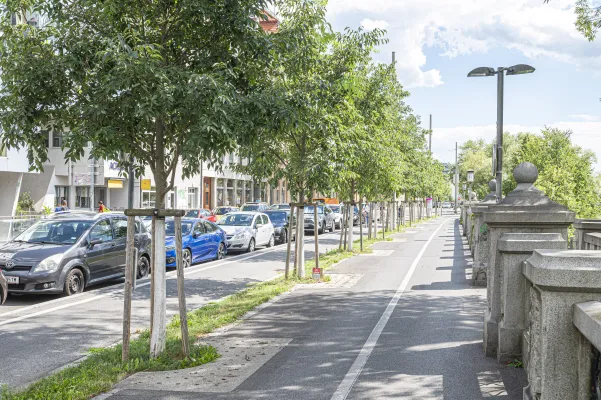 Bild: Weniger Verschmutzungen bei Starkregen: TU Graz berechnet Potenzial naturnaher Maßnahmen in Städten