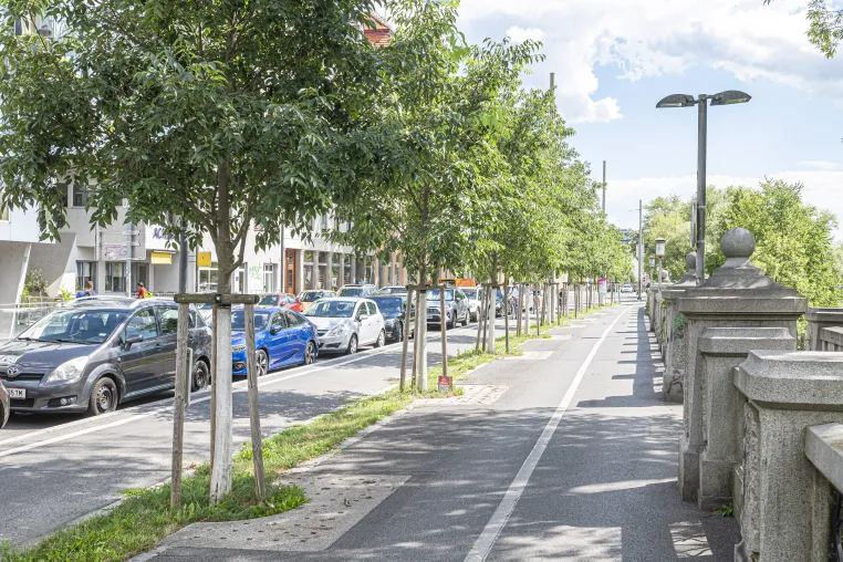 Bild: Weniger Verschmutzungen bei Starkregen: TU Graz berechnet Potenzial naturnaher Maßnahmen in Städten