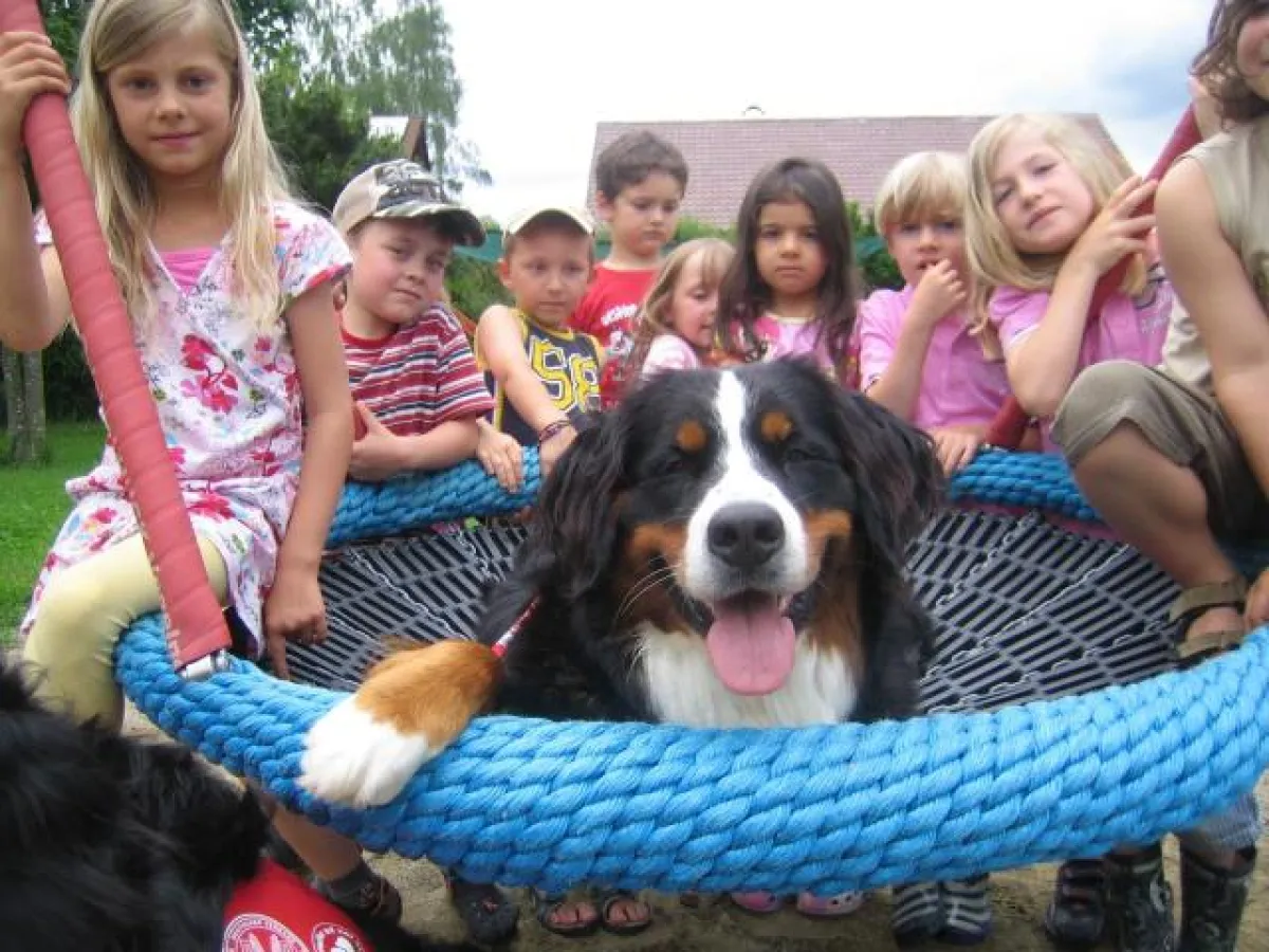 Der Verein Helfer auf vier Pfoten bringt Hunde und Kinder zusammen