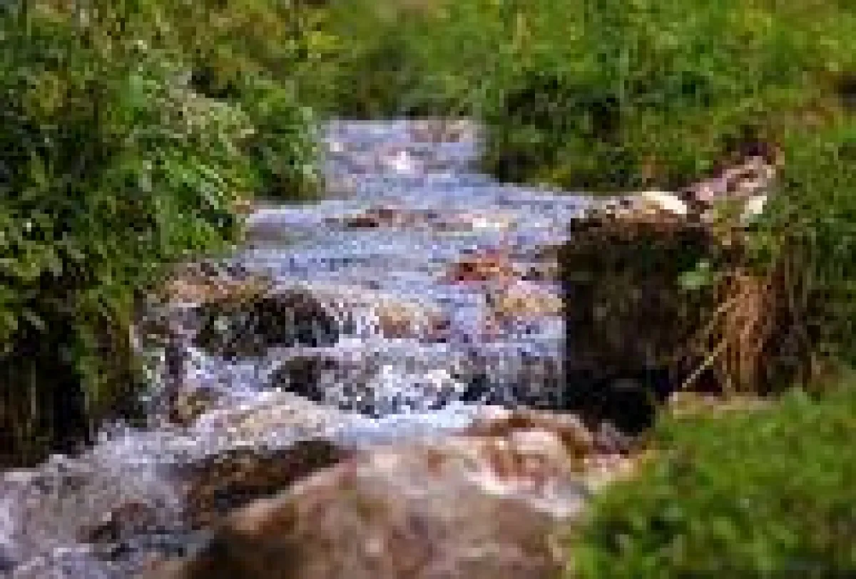 Auf der BaumoosAlm finden Sie Ruhe, um sich auf das Wesentliche zu besinnen.