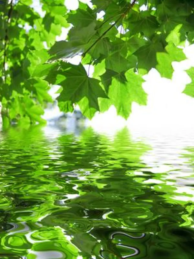 Die Sonne gibt uns Energie und regt die Vitamin D Bildung an.