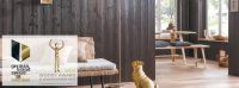 Bild: Starke Auszeichnungen: Das Marketing von MOCOPINUS erhält zwei Awards.