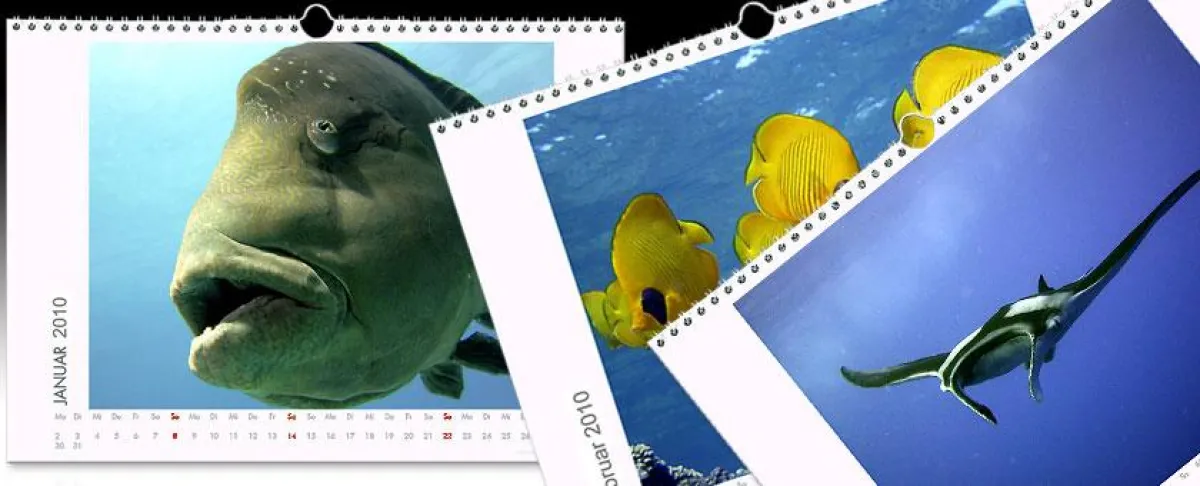 Fotokalender von Fotobuch - XXL