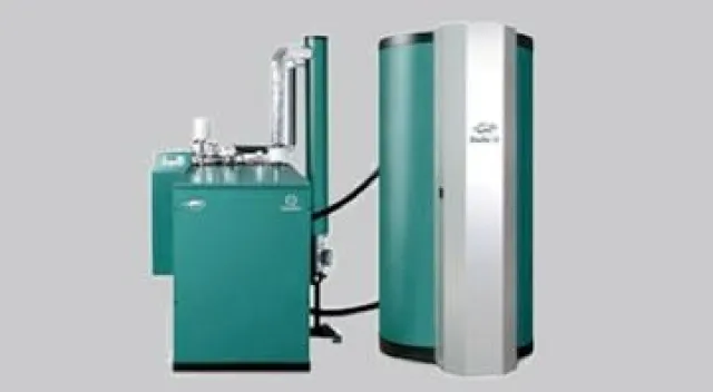 Bild: Der Dachs - das „Haustier”, das Immobilienbesitzern permanenten Geldfluss beschert