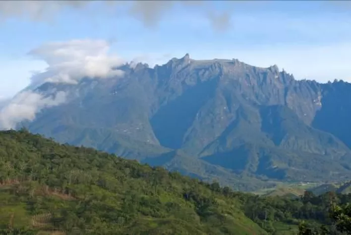 Bild: Da steppt der Malaeienbär - Gipfel des Mount Kinabalu wieder offen für Touristen