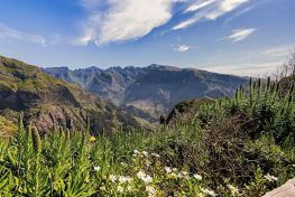 Madeira Camara de Lobos © Madeira Promotion Bureau
