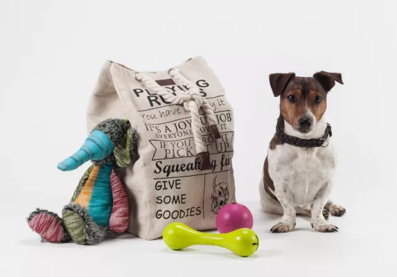 Bild: Mit DOGSTYLER® Hundespielzeug wird weniger Auslauf zum „Heimspiel“