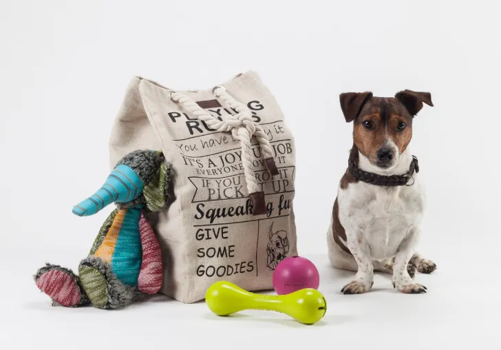 Bild: Mit DOGSTYLER® Hundespielzeug wird weniger Auslauf zum „Heimspiel“