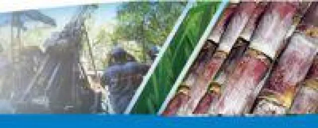 Bild: Ernährungssicherheit und Dünger