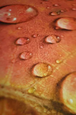 Zwei Druckverfahren. Ein Ziel: Individualität in Perfektion Bild: Zwei Druckverfahren. Ein Ziel: Individualität in Perfektion