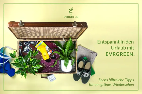 Bild: Sorgenfrei in den Urlaub. Hydrokulturen von EVRGREEN: Einmal gießen - zwei Wochen genießen