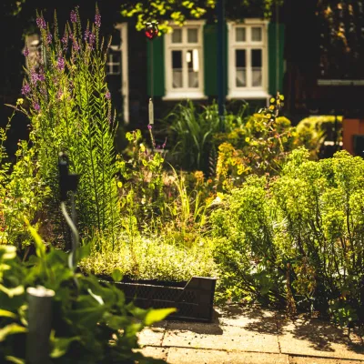 Bild: Sommerfest mit Stauden – Ein Wochenende voller Genuss, Wissen und Inspiration