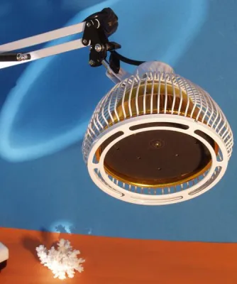 Bild: TDP-Gesellschaft informiert und hilft Kranken und Therapeuten