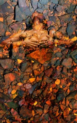 Bild: WAYNE QUILLIAM - Ausstellung “Lowanna“ - Photography