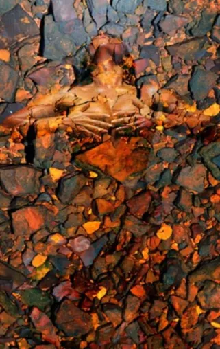 Bild: WAYNE QUILLIAM - Ausstellung “Lowanna“ - Photography