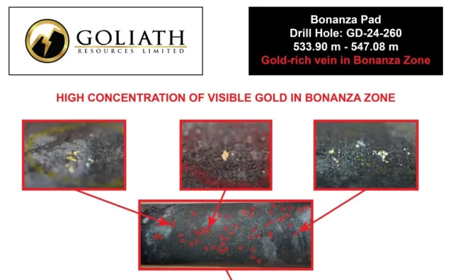 Bild: Goliath Resources meldet bislang höchste Konzentration sichtbaren Goldes von Golddigger!