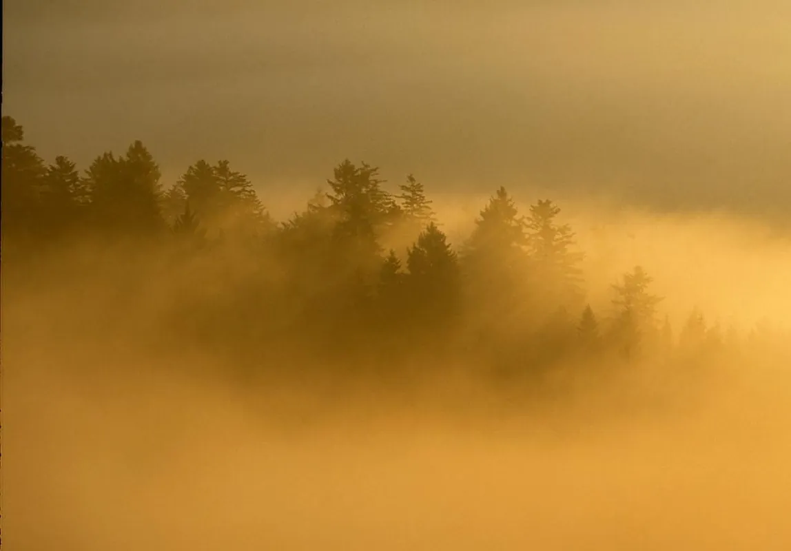 Sonnenaufgang über dem Nationalpark Bayerischer Wald