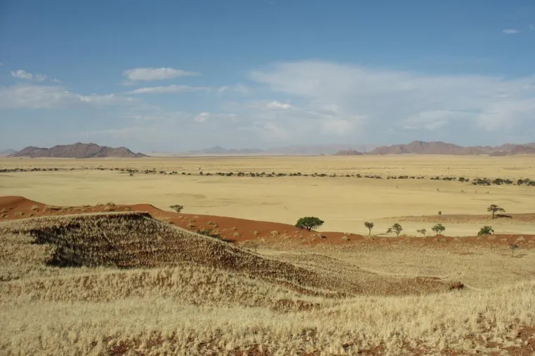 Bild: Zusatztermine für Namibia 2007 und neue Abenteuer-Touren durch Botswana