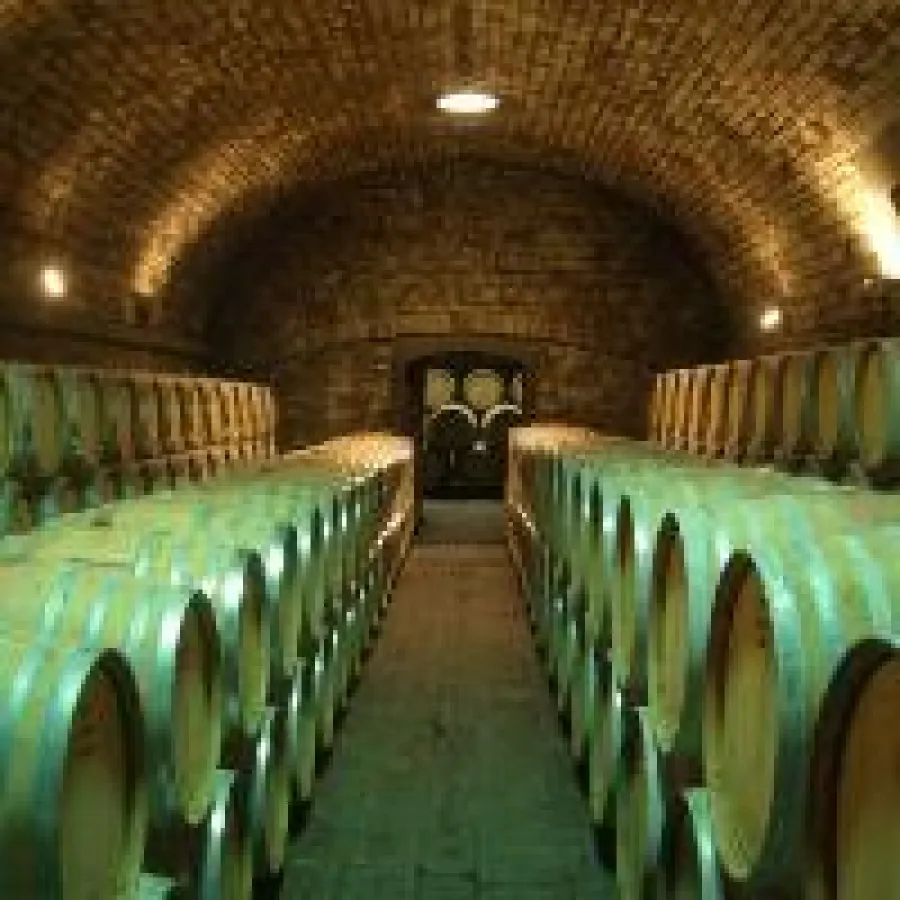 Teamevent im Weinberg bei Bonn