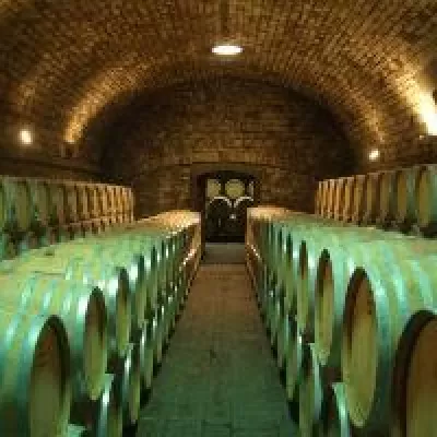 Bild: Betriebsausflug und Teambuilding-Event im Weinberg bei Bonn