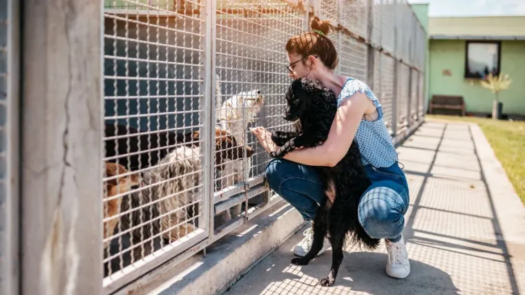 Bild: Mit Tierheimsponsoring Tierheime unterstützen