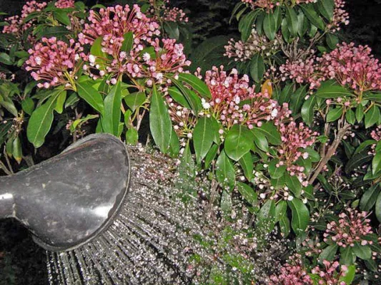 Bild: Wasser sparen durch richtiges Gießen - Die sieben „goldenen Regeln" der Gartenbewässerung