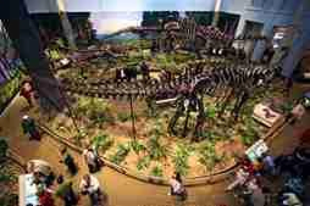 (c) Carnegie Museum of Natural History, photograph by Melinda McNaugher