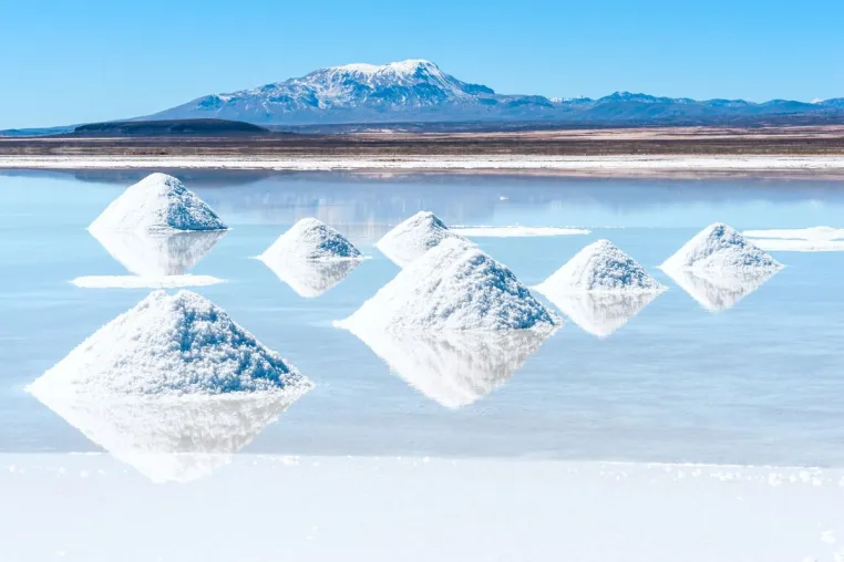 Bild: First Lithium Minerals: Oberflächenproben bestätigen Salar de Ascotan als starkes Explorationsziel