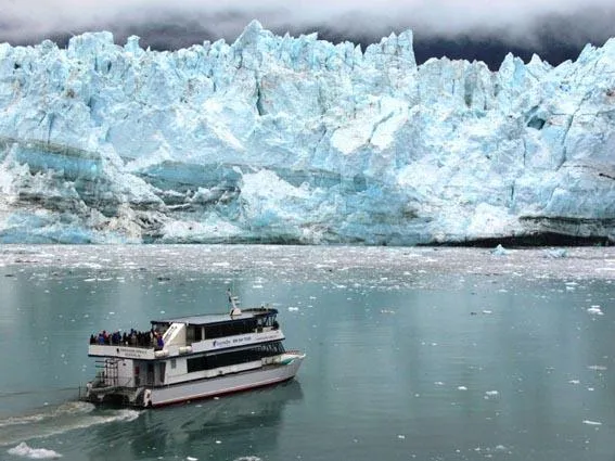 Milder Sommer im Land der Mitternachtssonne - Alaskas Nationalparks erwachen zu neuem Leben Bild: Milder Sommer im Land der Mitternachtssonne - Alaskas Nationalparks erwachen zu neuem Leben